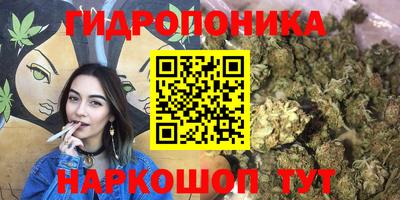 мдпв Канаш