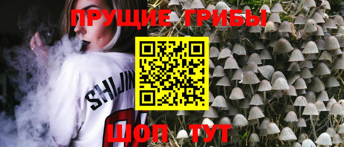 Куйбышев  Галлюциногенные грибы прущие грибы  Вход с VPN  Галлюциногенные грибы ЛСД 